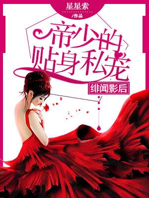 绯闻影后沈少宠上天